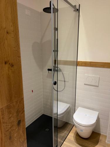 a bathroom with a toilet and a glass shower stall at Casa Camilla in Bitonto