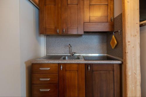 uma cozinha com um lavatório e armários de madeira em casa Balto em Passo del Tonale