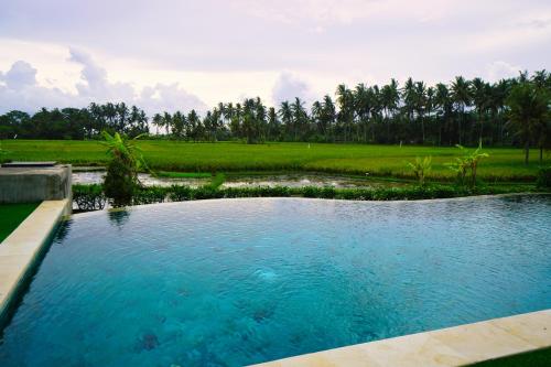 a swimming pool with blue water in a field at Adil Villa & Resort in Ubud