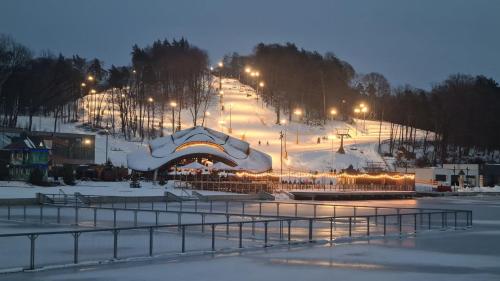 a snow covered slope with lights on a hill at Emily Magic Hostel in Vynnyky