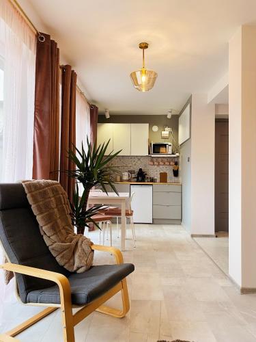 a living room with a chair and a table at Apartamenty Jagodzianka - Jacuzzi, Sauna, Tężnia solankowa in Ustrzyki Dolne