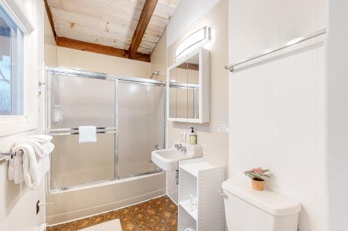 ein Bad mit einer Dusche und einem Waschbecken in der Unterkunft Hauck's Nest in Waitsfield