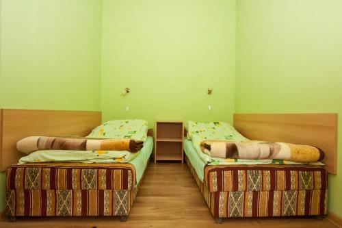 duas camas num quarto com paredes verdes em Roman Tarnawa "Nasz Domek" em Szczytna