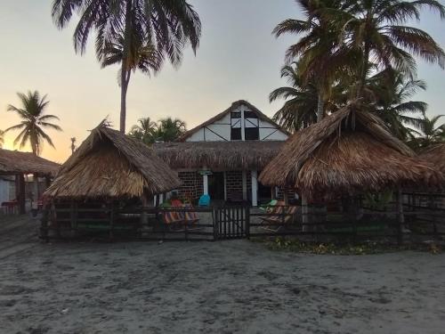 ein Haus am Strand mit Palmen in der Unterkunft Antara del Mar in San Bernardo del Viento