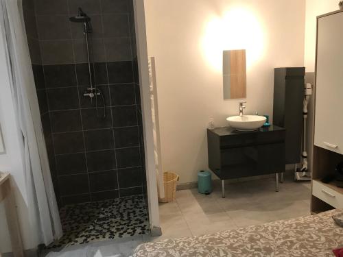 uma casa de banho com um chuveiro e um lavatório. em Appartement confortable centre du village em Pélussin