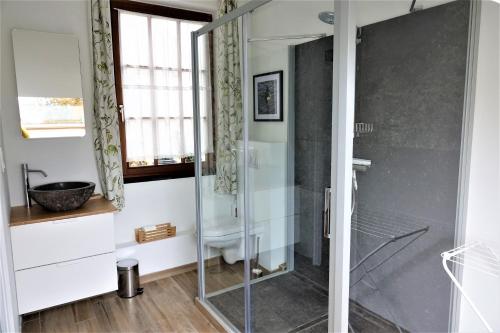 uma casa de banho com uma cabina de duche em vidro e um lavatório. em Le Jardin des Miroirs em Esneux