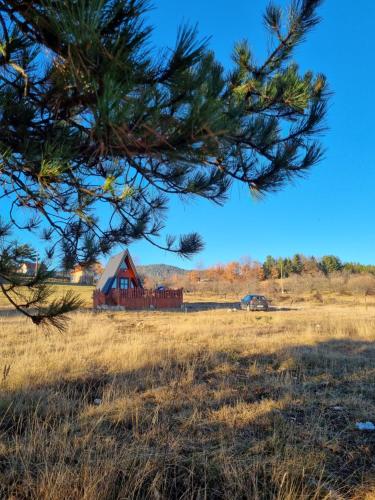 an old barn in a field with a tree at A Pine vikendica u srcu Zapadne Srbije in Nova Varoš