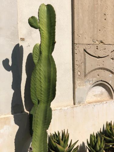 Fotografie z fotogalerie ubytování Room 55 v destinaci Noto