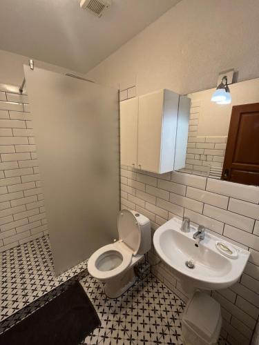een badkamer met een toilet en een wastafel bij Villa Victoria Penzion in Liptovský Ján