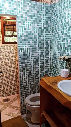 een badkamer met een toilet en een wastafel bij Casa da Roça in Visconde De Maua