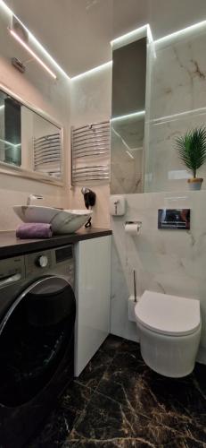 比亞韋斯托克的住宿－Chill LUX，一间带卫生间和水槽的浴室