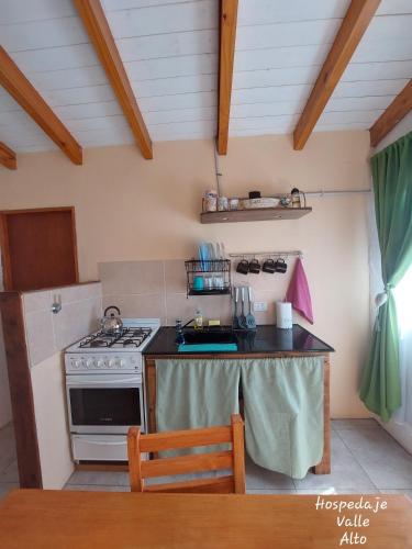 a kitchen with a stove and a counter top at Hospedaje Valle Alto in San Martín de los Andes