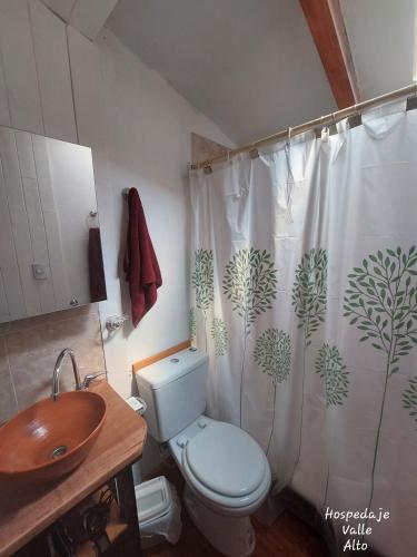 y baño con aseo, lavamanos y cortina de ducha. en Hospedaje Valle Alto en San Martín de los Andes