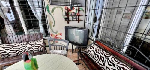 a balcony with a tv and a bird sitting on a table at Casa Kitus in San José