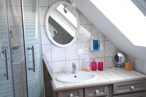W łazience znajduje się umywalka, lustro i prysznic. w obiekcie proche Paris maison dans village près de reims w mieście Champigny