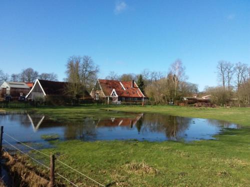 a house in a field with a pond in front at Klein Ni'jenhoes in Winterswijk
