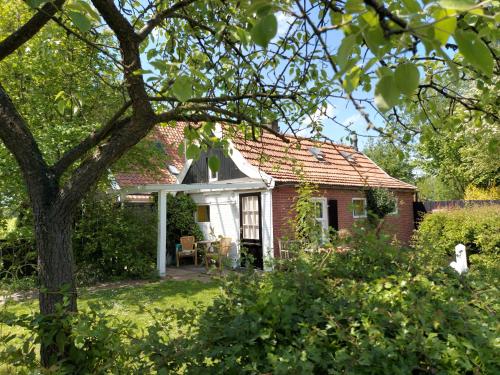 a small red and white house in a yard at Klein Ni'jenhoes in Winterswijk