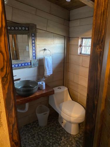 a small bathroom with a toilet and a sink at Cabañas Agua del Oyamel in Perote