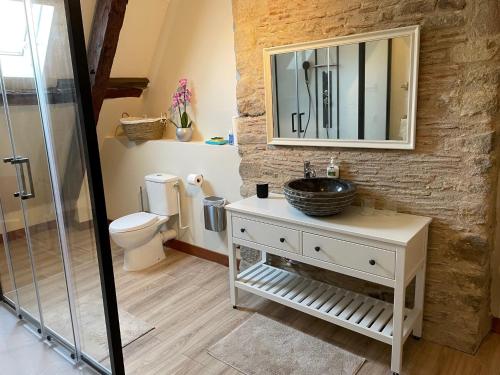a bathroom with a sink and a toilet and a mirror at Maison Familiale au cœur de Saint Gervais in Saint-Gervais-dʼAuvergne