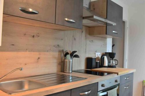 a kitchen with a stainless steel sink and wooden cabinets at le bouquetin in Les Hôpitaux-Neufs