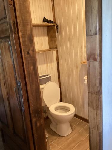 a bathroom with a toilet and a wooden door at Departamento La Solar 1 ambiente in Frutillar