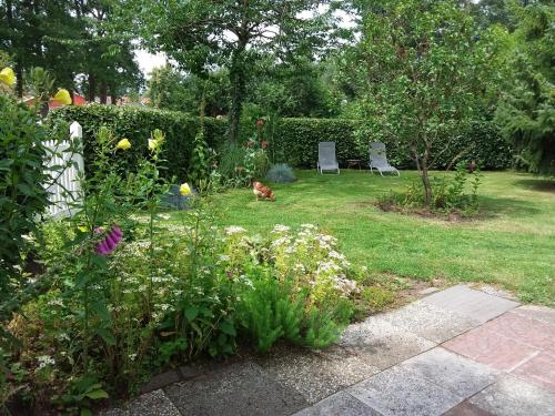 a cat laying in a yard next to a garden at Klein Ni'jenhoes in Winterswijk