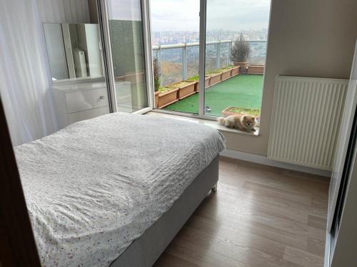 um cão deitado numa cama num quarto com uma janela em MediKule em İkitelli