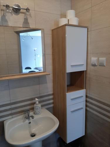een badkamer met een wastafel en een spiegel bij Wakacje nad morzem w Rusinowie in Rusinowo
