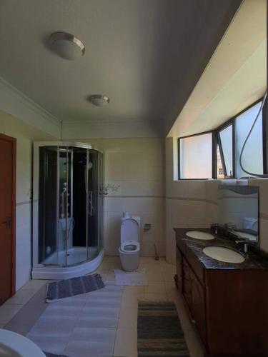 內羅畢的住宿－Karen Exquisite Residence，一间带两个盥洗盆、淋浴和卫生间的浴室