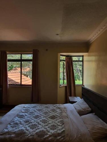 內羅畢的住宿－Karen Exquisite Residence，一间卧室设有一张大床和两个窗户。