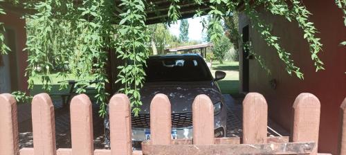 Un jardín fuera de Cabañas Tranquera 8