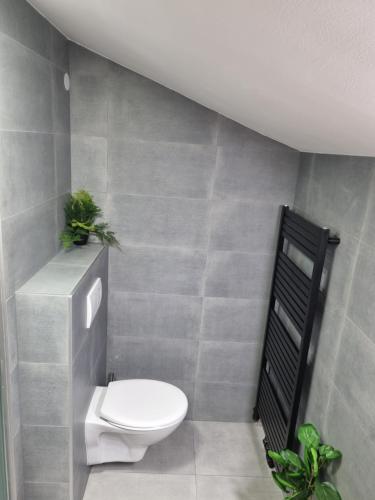 a bathroom with a toilet with two plants on the wall at Penzion U našich in Mladé Buky