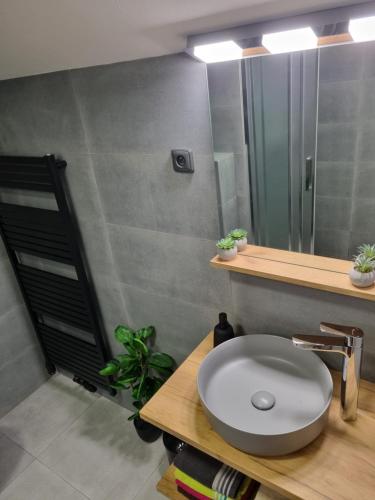 a bathroom with a sink and a mirror at Penzion U našich in Mladé Buky