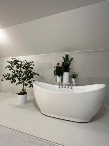 Fotografie z fotogalerie ubytování Infinity v destinaci Novi Sad