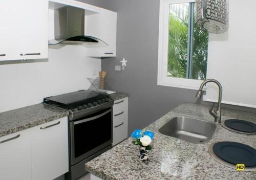 een keuken met een wastafel en een fornuis bij Apartamento Estrella Dominicus in La Laguna