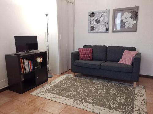 a living room with a couch and a tv at AT HOME IN CREMONA in Cremona