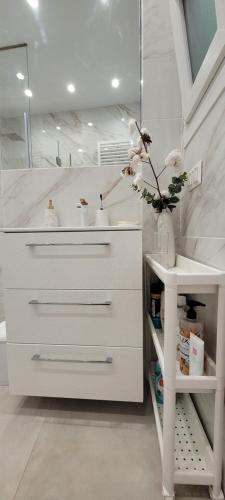 塞薩羅尼基的住宿－Thessaloniki Harmony Life apartment，白色的浴室设有水槽和镜子