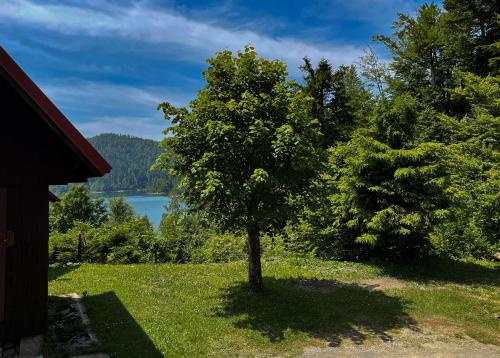 a tree in the grass next to a lake at Holiday home Bozica in Lokve
