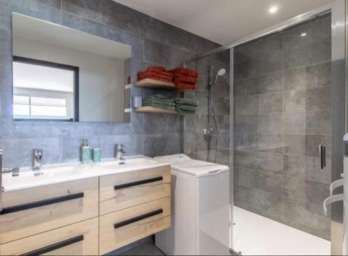 een badkamer met een douche, een wastafel en een spiegel bij Gite LE SEMNOZ in Montmin