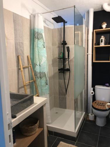 a bathroom with a shower and a toilet at Appartement avec vue panoramique de Pointe-à-Pitre in Pointe-à-Pitre