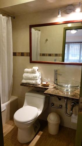 y baño con aseo, lavabo y espejo. en Hotel Pucara Machupicchu, en Machu Picchu
