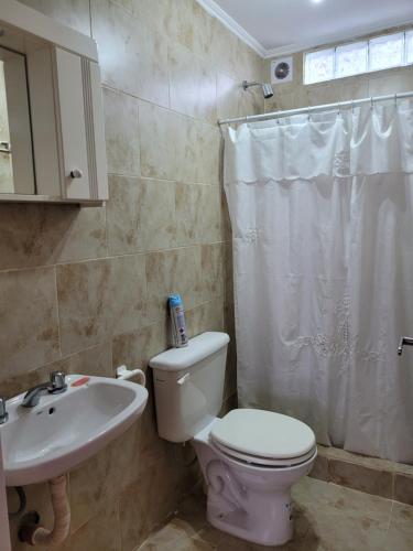 ein Bad mit einem WC und einem Waschbecken in der Unterkunft Apartamento Alem in Gualeguaychú