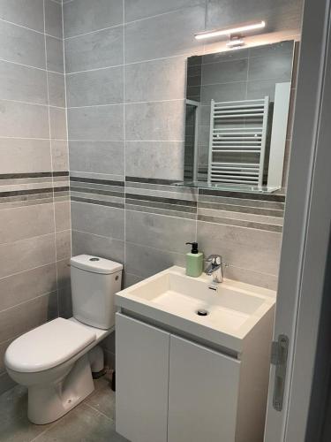 une salle de bain avec toilettes, lavabo et miroir dans l'établissement Appart cocoon, résidence A.T.F, à Aulnay-sous-Bois