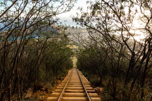 a train track through a forest of trees at Wayfinder Waikiki - Voted Top 10 Best Hotels in Hawaii! in Honolulu