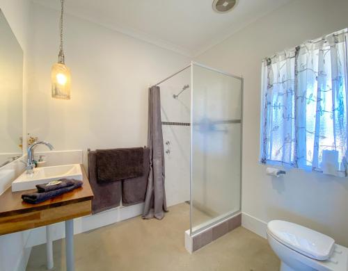 a bathroom with a shower and a sink and a toilet at Bremer Bay B&B in Bremer Bay