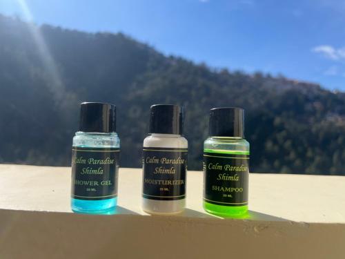 three bottles of liquids sitting on a ledge at Calm Paradise in Shimla