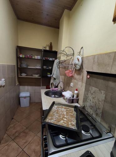 a kitchen with a stove and a sink in it at Guest House Mandrivnyi Rooms&Apartments in Yasinya