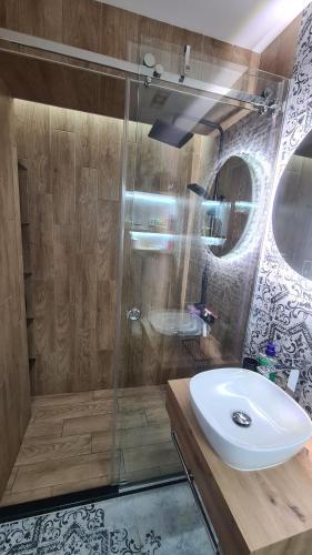 y baño con lavabo y ducha acristalada. en Апартамент Мегилукс 2, en Blagoevgrad