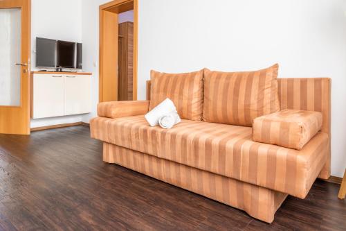 a living room with a couch and a television at Apartment Schlickenhof in Hintergöriach