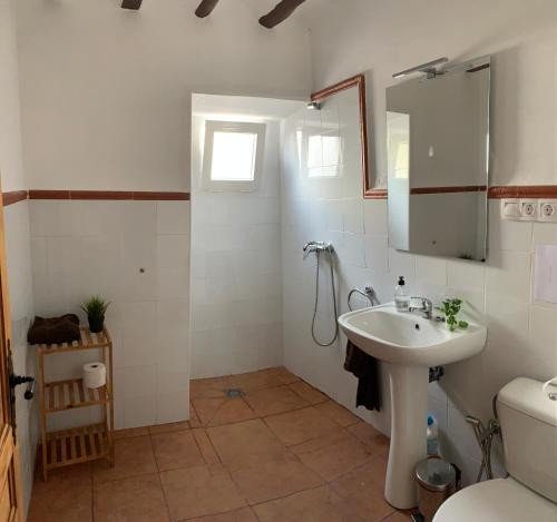 een badkamer met een wastafel en een toilet bij Casa Rural "La villa del pistacho" in Archivel